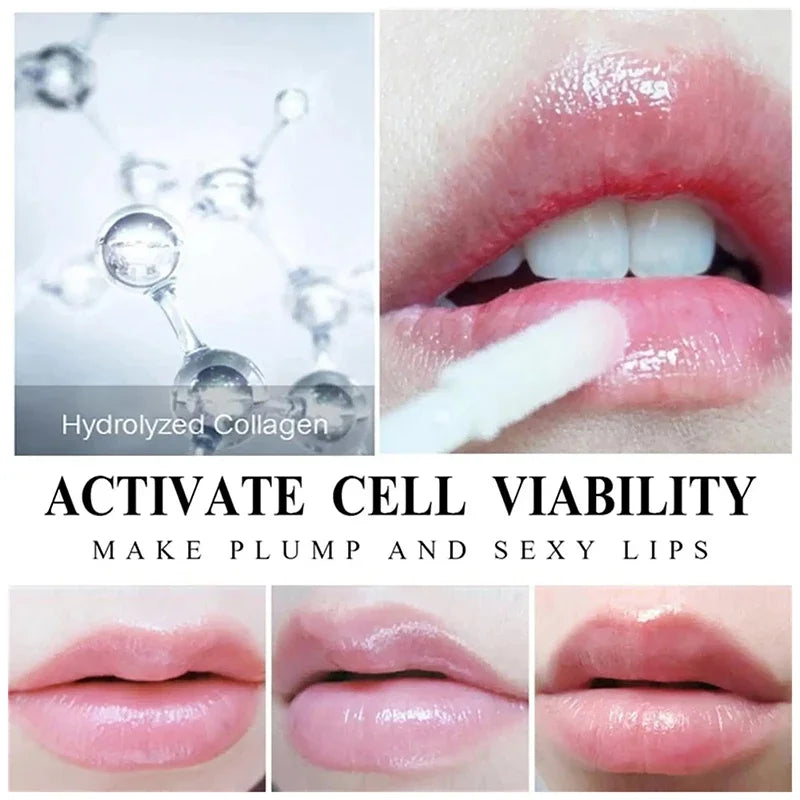 Lip Enriching Essence Plump Lip Improve Dullness Lip Oil Increase Elasticity Long Lasting Repair Lip Fine Lines Beauty Cosmetics